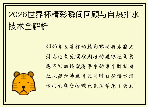2026世界杯精彩瞬间回顾与自热排水技术全解析 2026世界杯精彩瞬间回顾与自热排水技术全解析